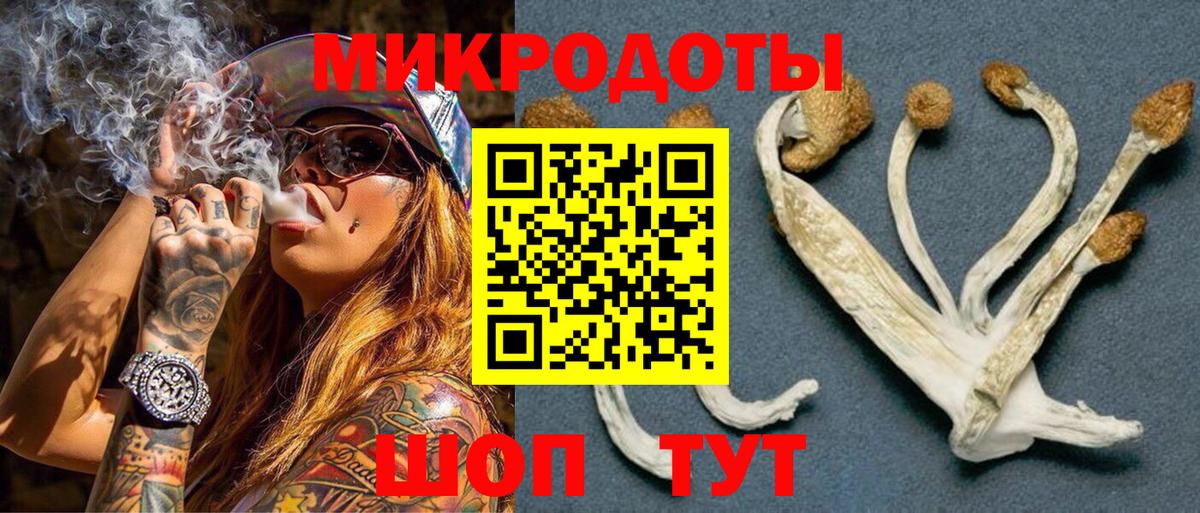 Псилоцибиновые грибы Psilocybe  Вход с VPN  Гуково 